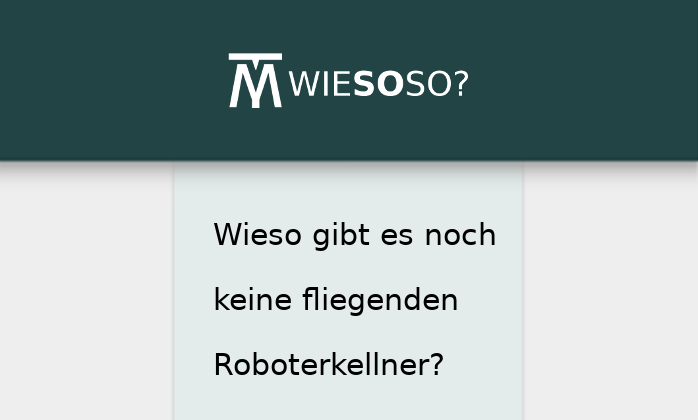 Die WIESOSO-Startseite, aber alles ist so stark vergrößert, dass man nur noch das Logo und drei Zeilen Text sieht.
