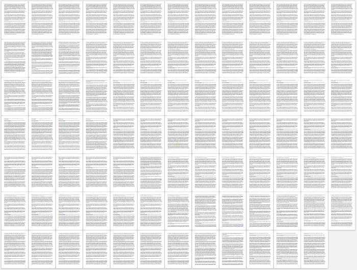 Screenshot von 90 A4-Seiten Text.